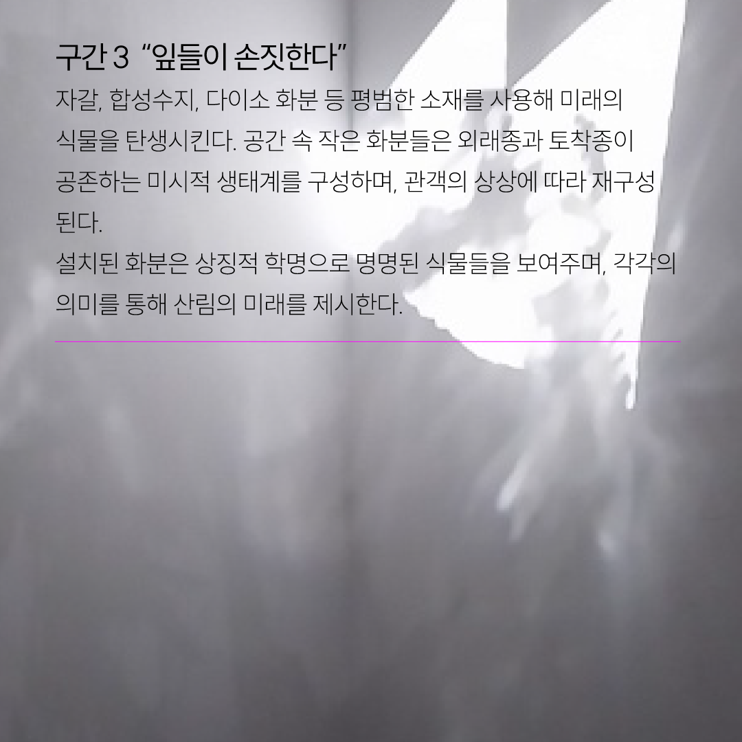 인스타-홍보용_p5.png