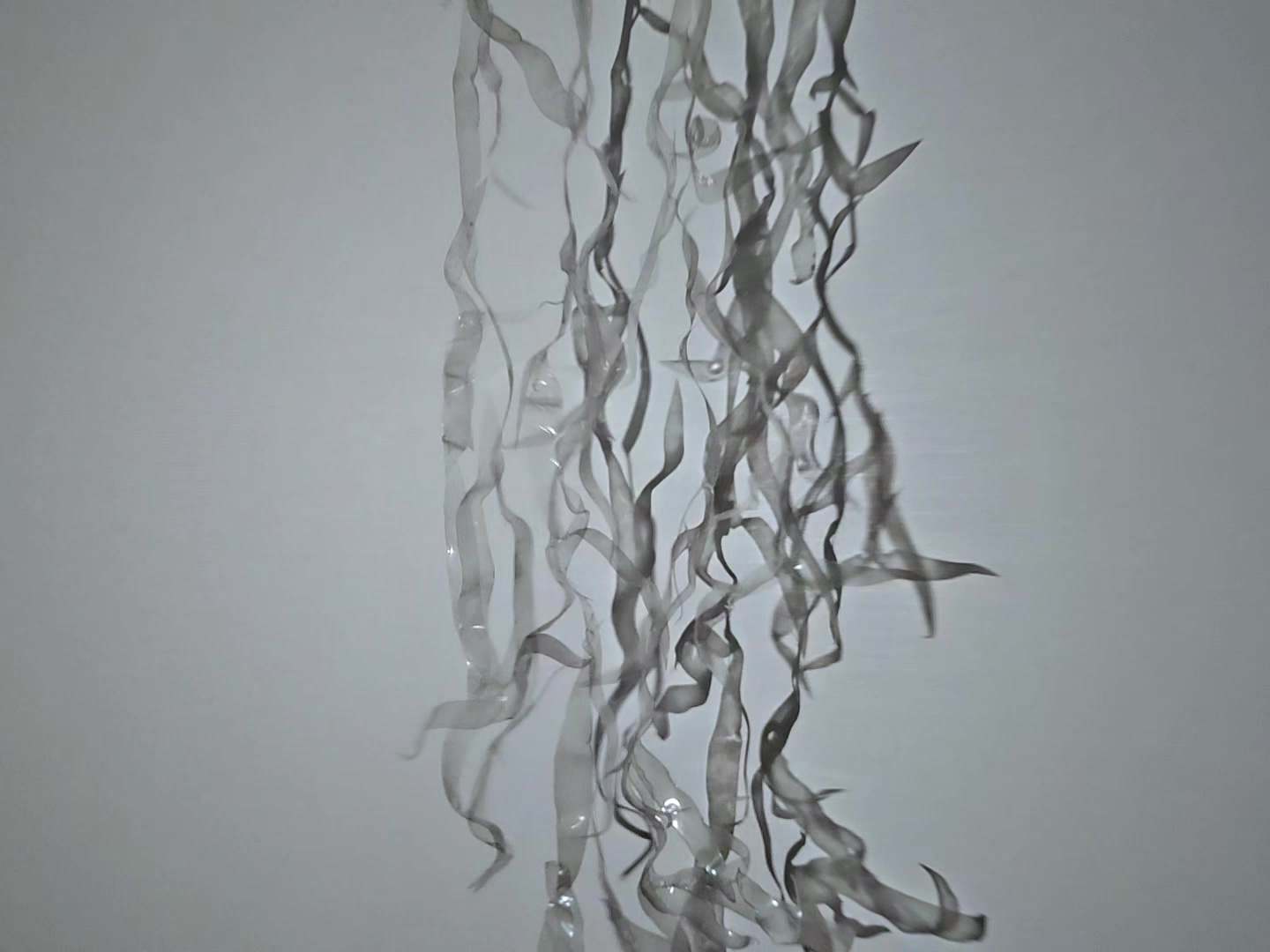 물과 뭍의 경계에서2_1440x1080_ 3채널 비디오_각 000045_2024.mp4_20241011_032108.050.jpg