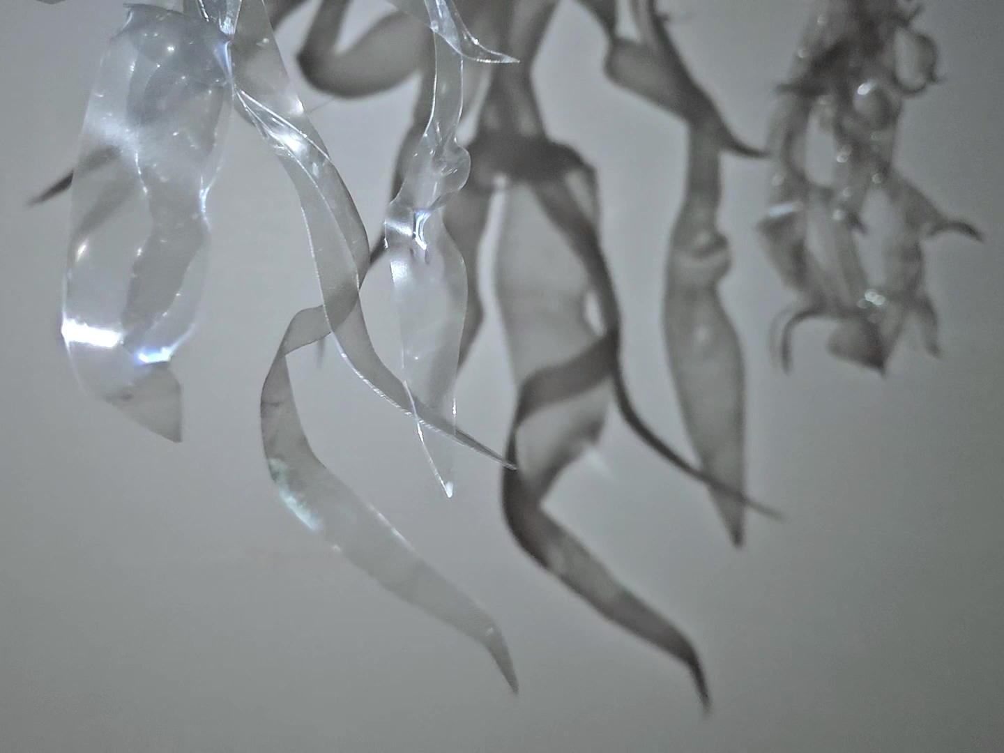 물과 뭍의 경계에서3_1440x1080_ 3채널 비디오_각 000045_2024.mp4_20241011_032115.320.jpg