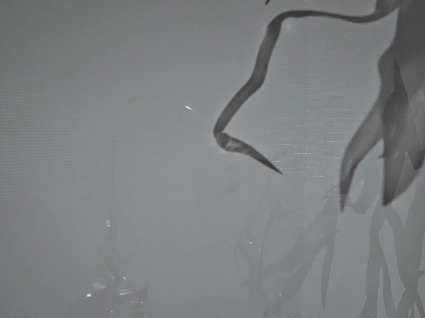 물과 뭍의 경계에서3_1440x1080_ 3채널 비디오_각 000045_2024.mp4_20241011_032131.206.jpg