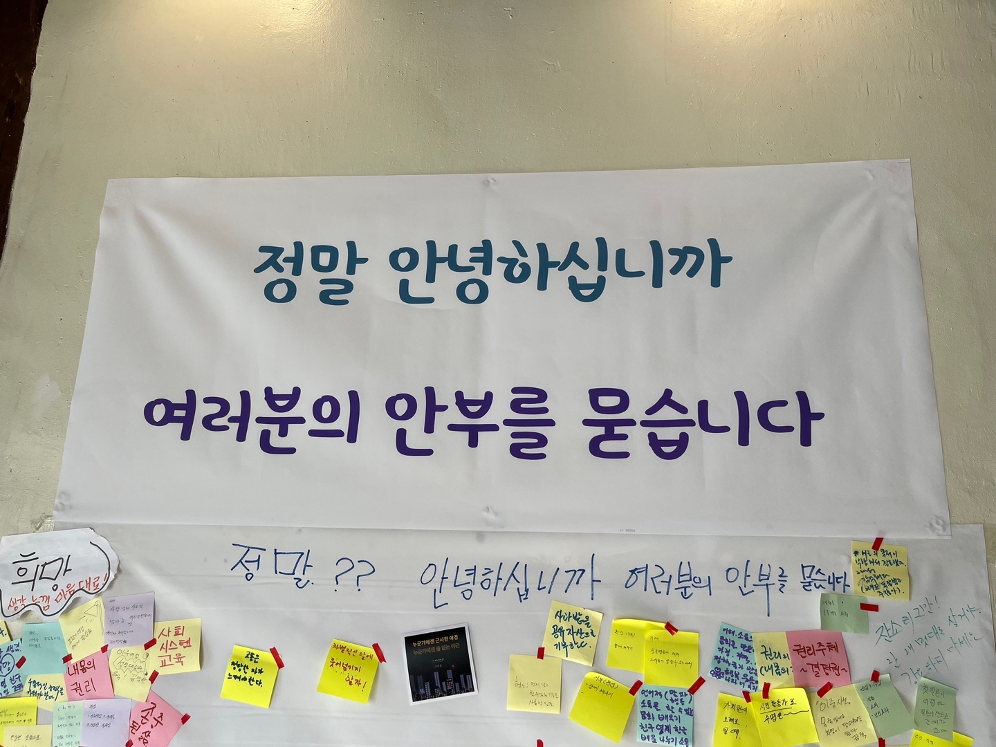 KakaoTalk_20221120_004540030_19.jpg
