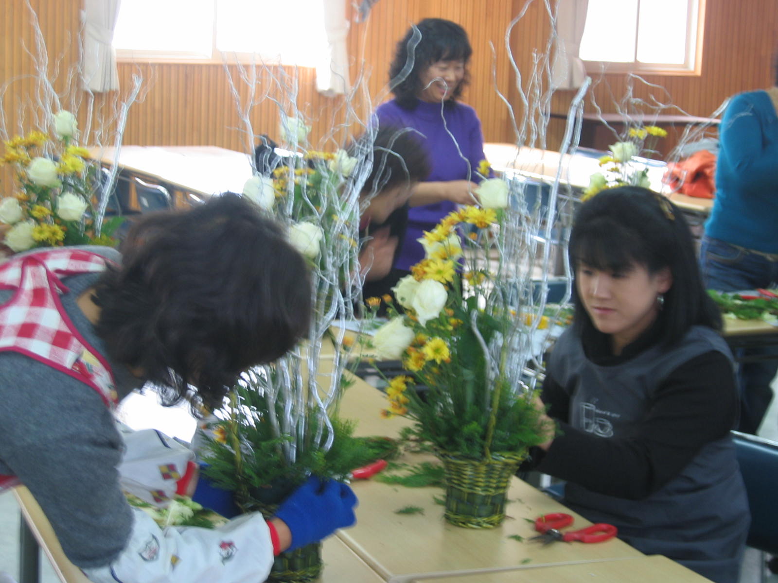 IMG_8315.JPG