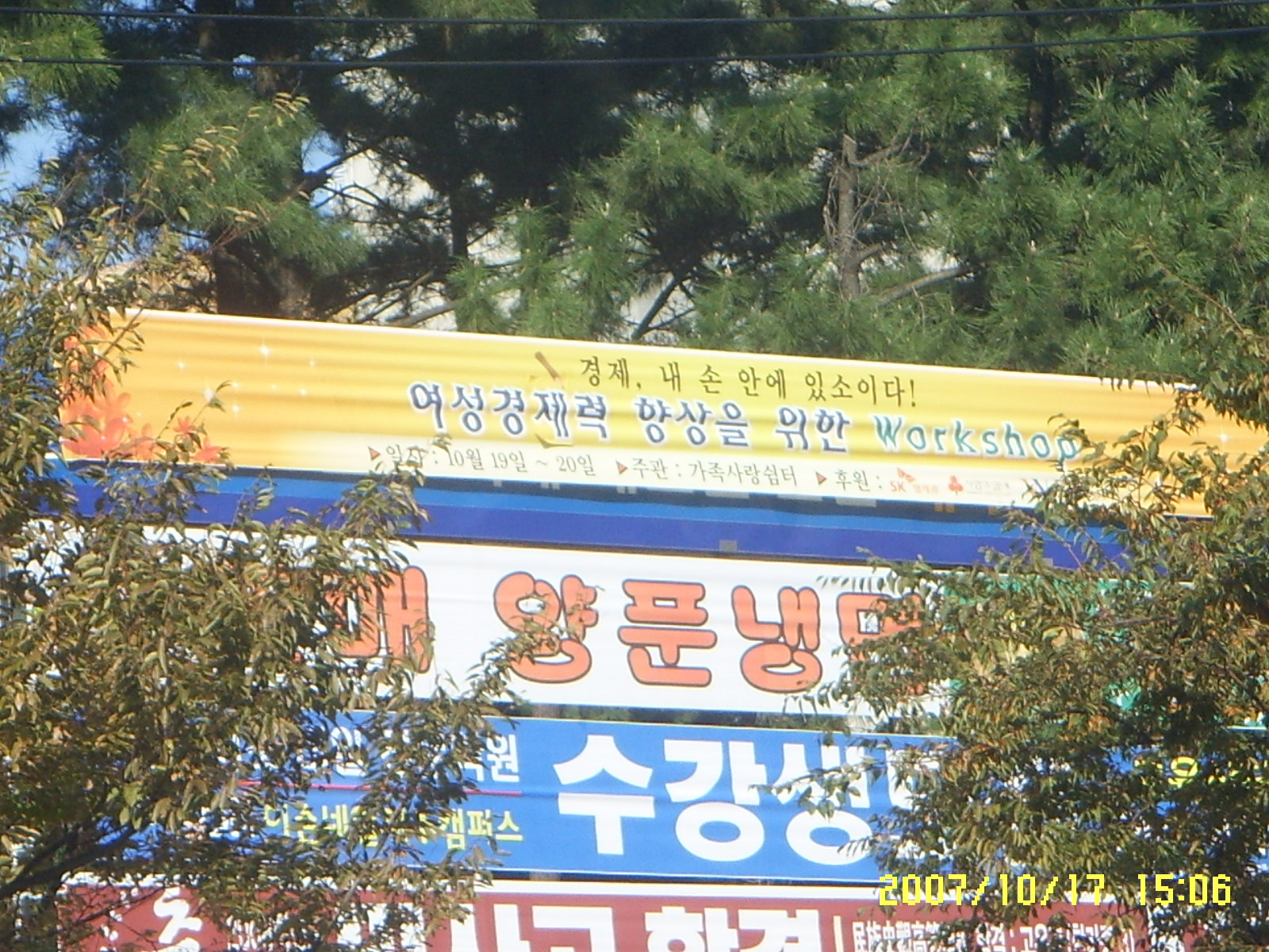 SSL13646.JPG