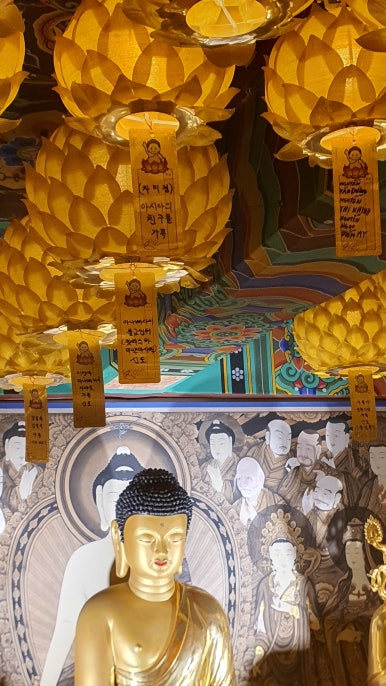마디선원 1.jpg