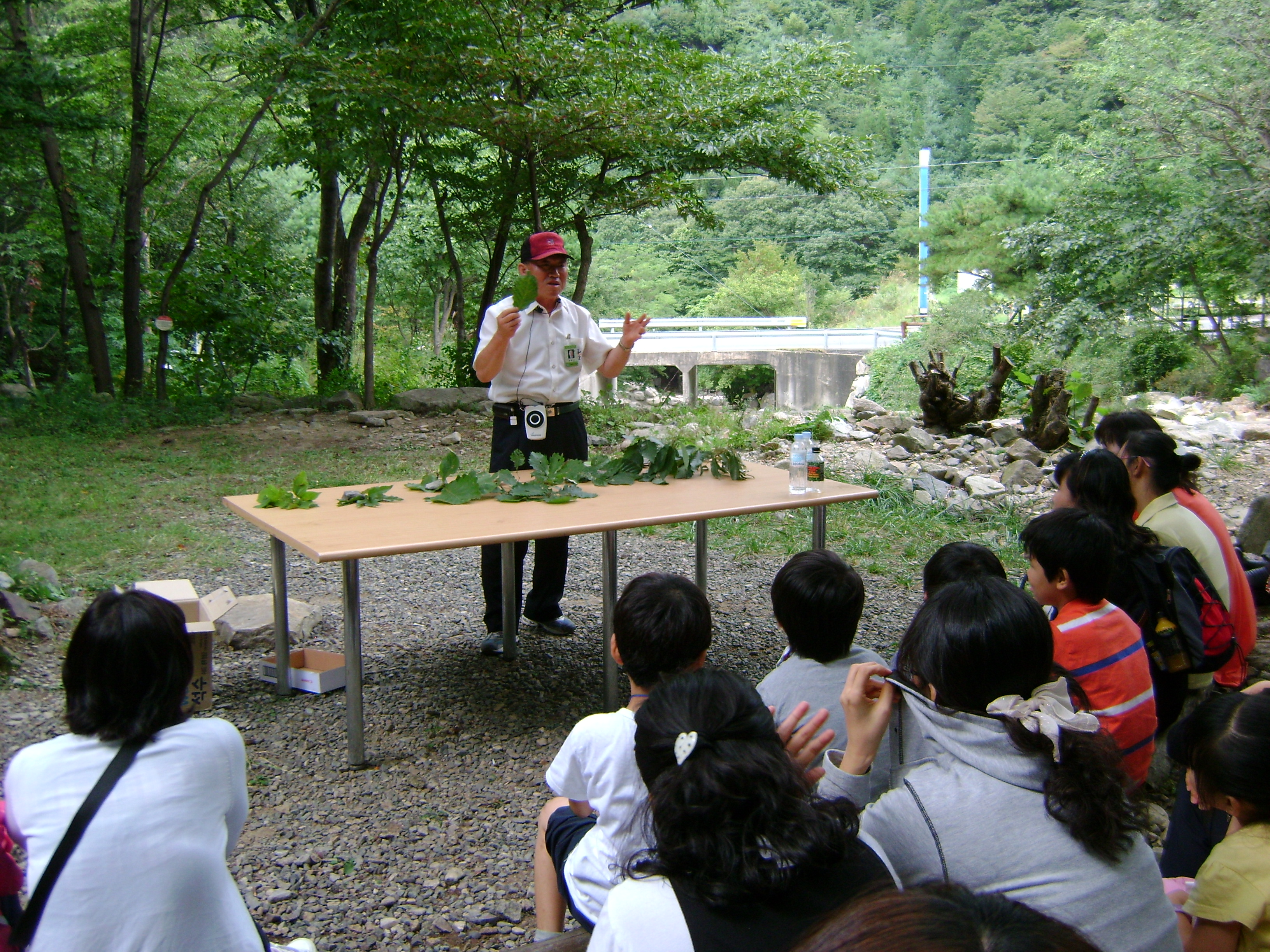 DSC01252.JPG