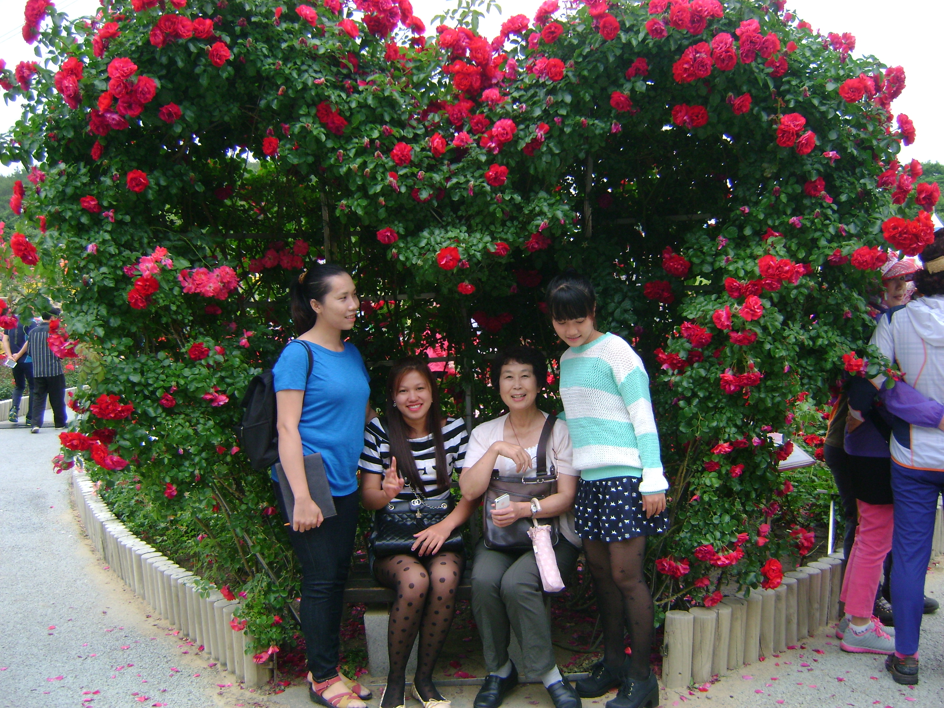 DSC06747.JPG