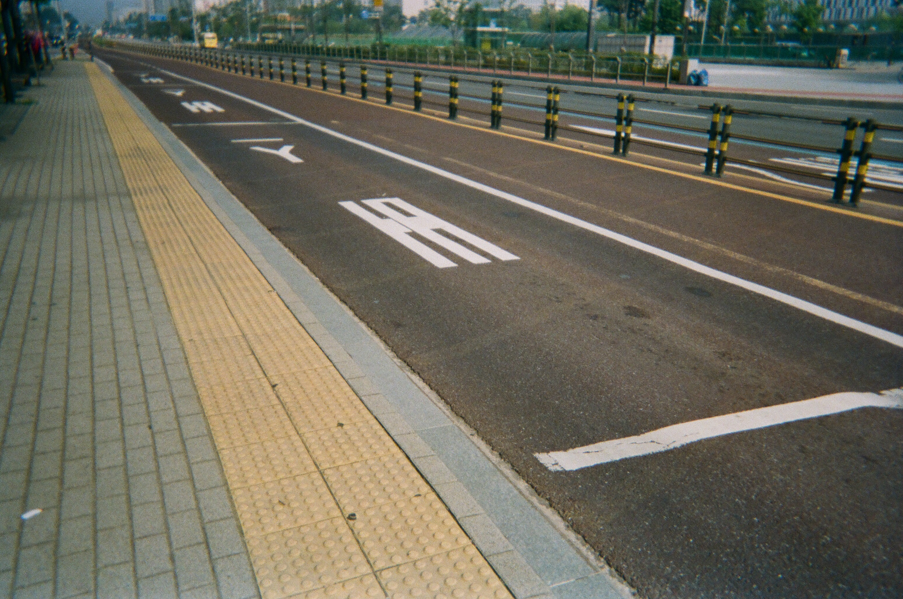 000469890019.jpg