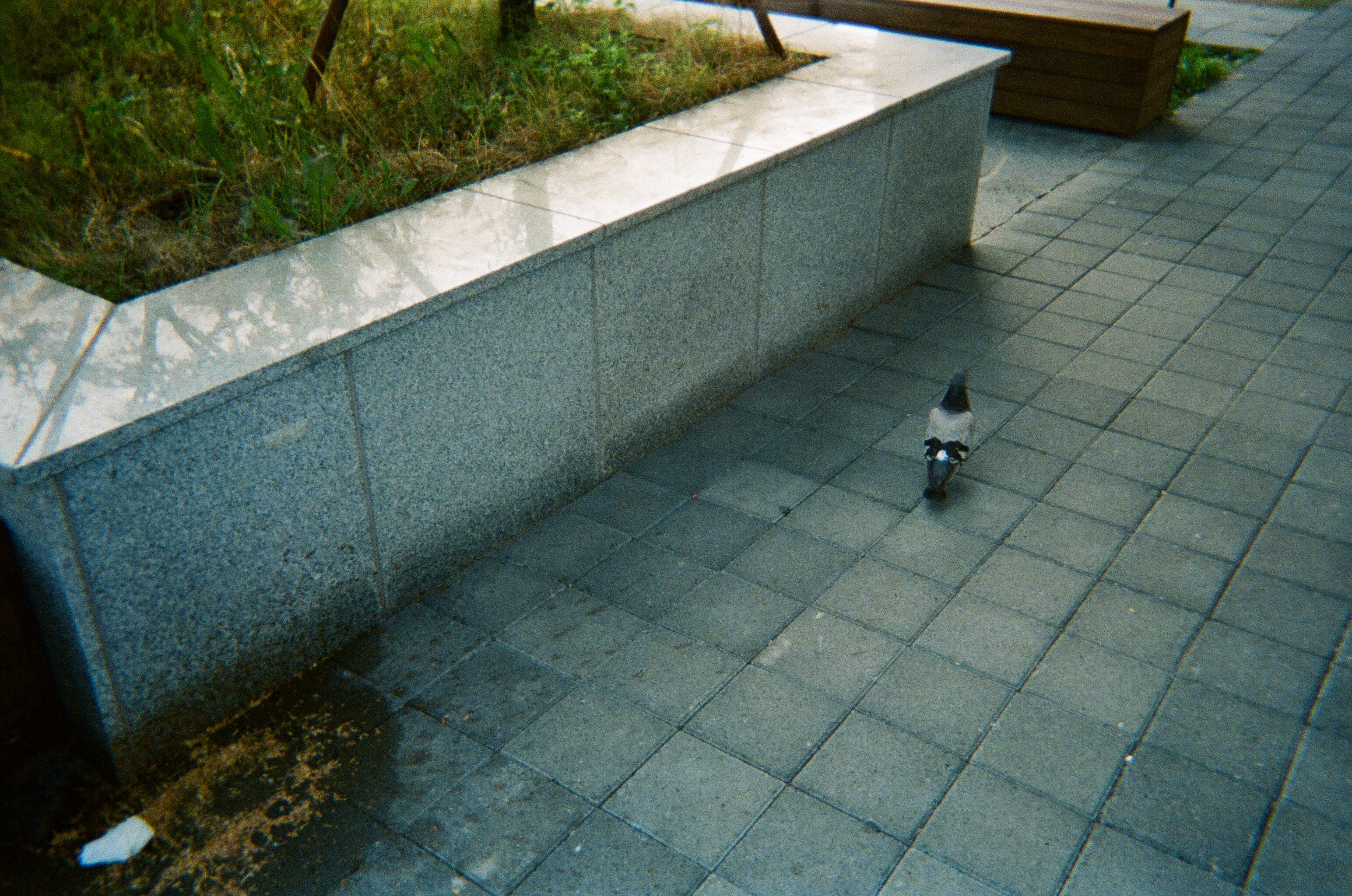 000469890023.jpg