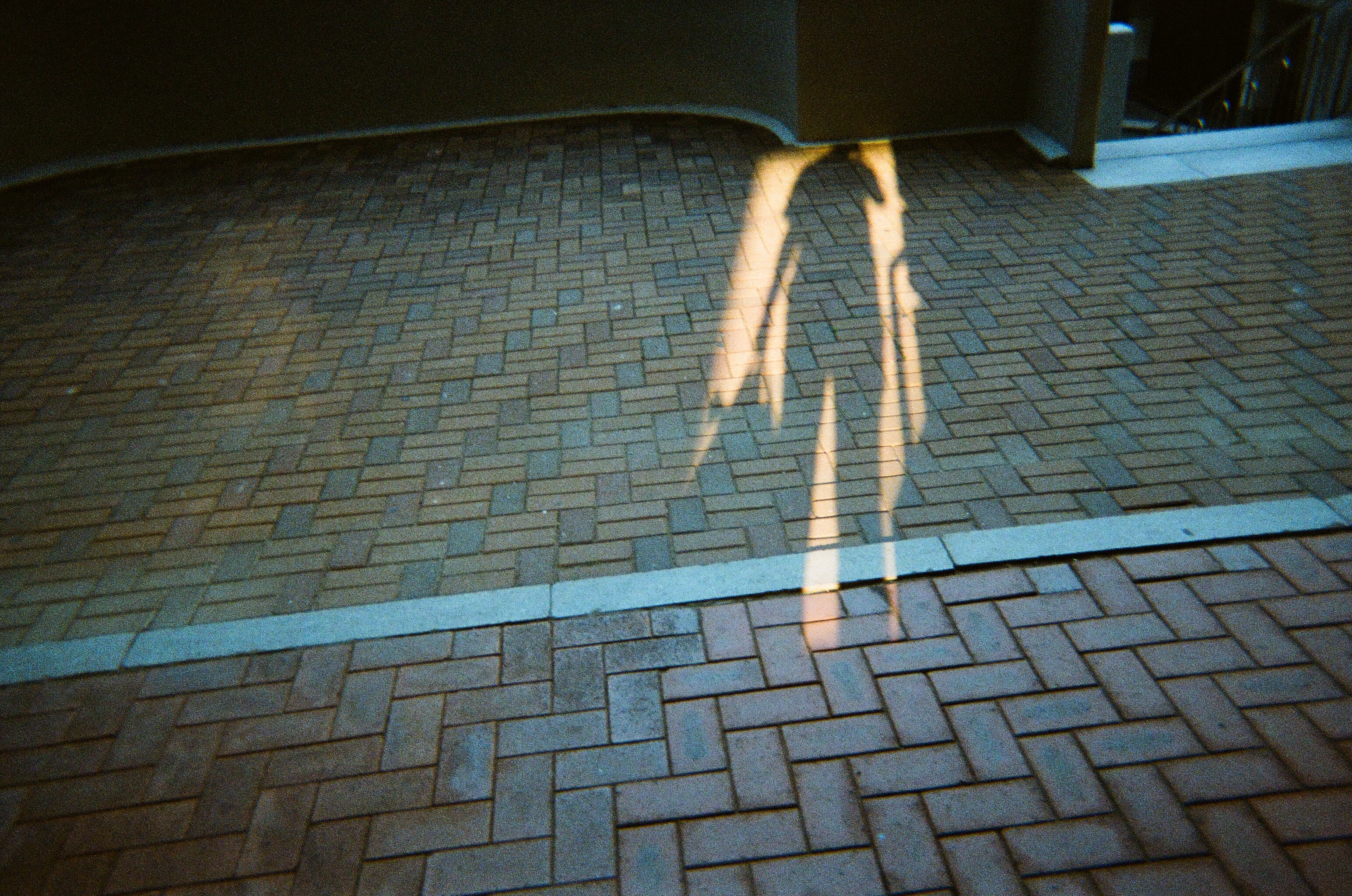000469910007.jpg