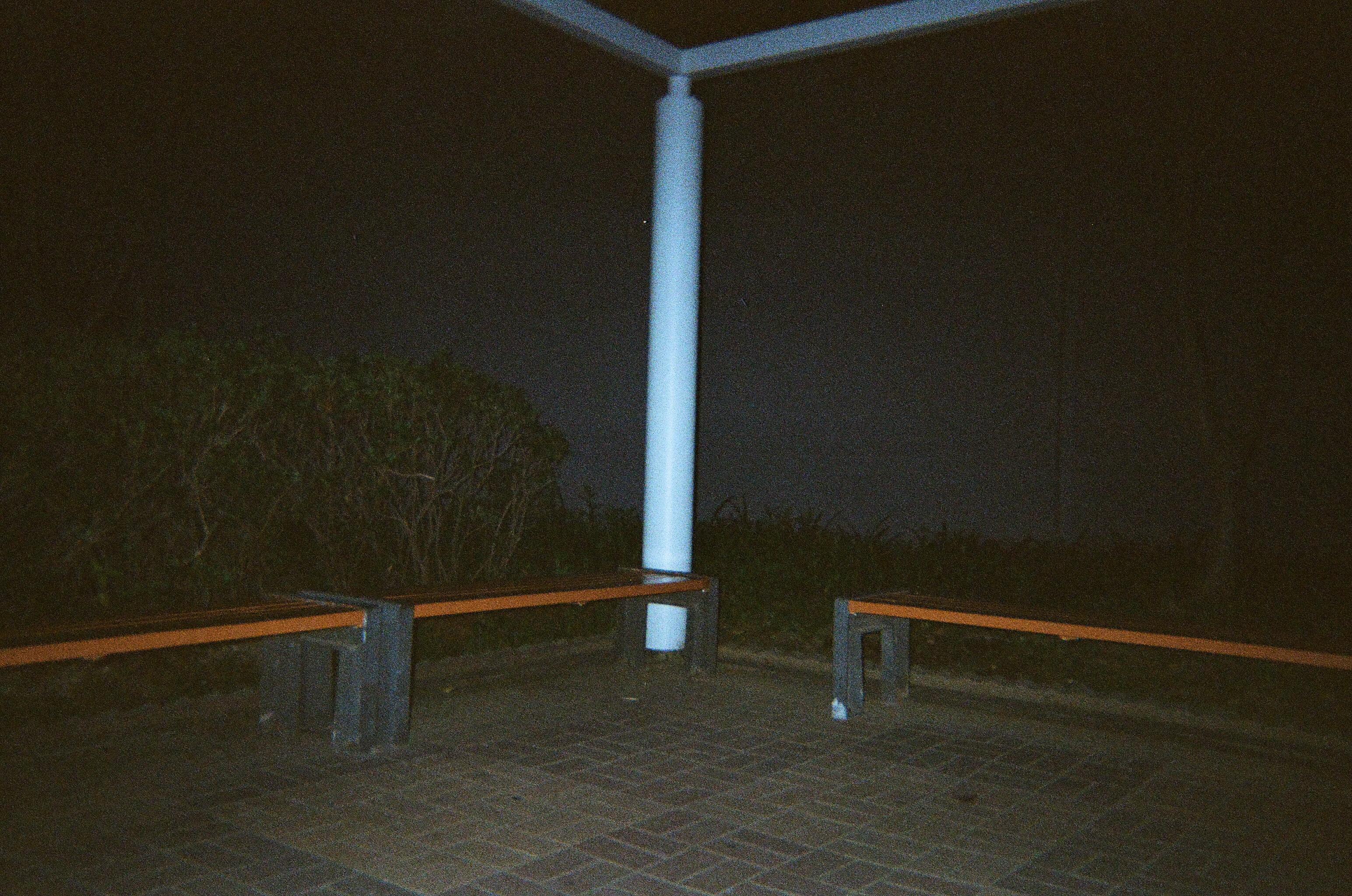 000469890002.jpg