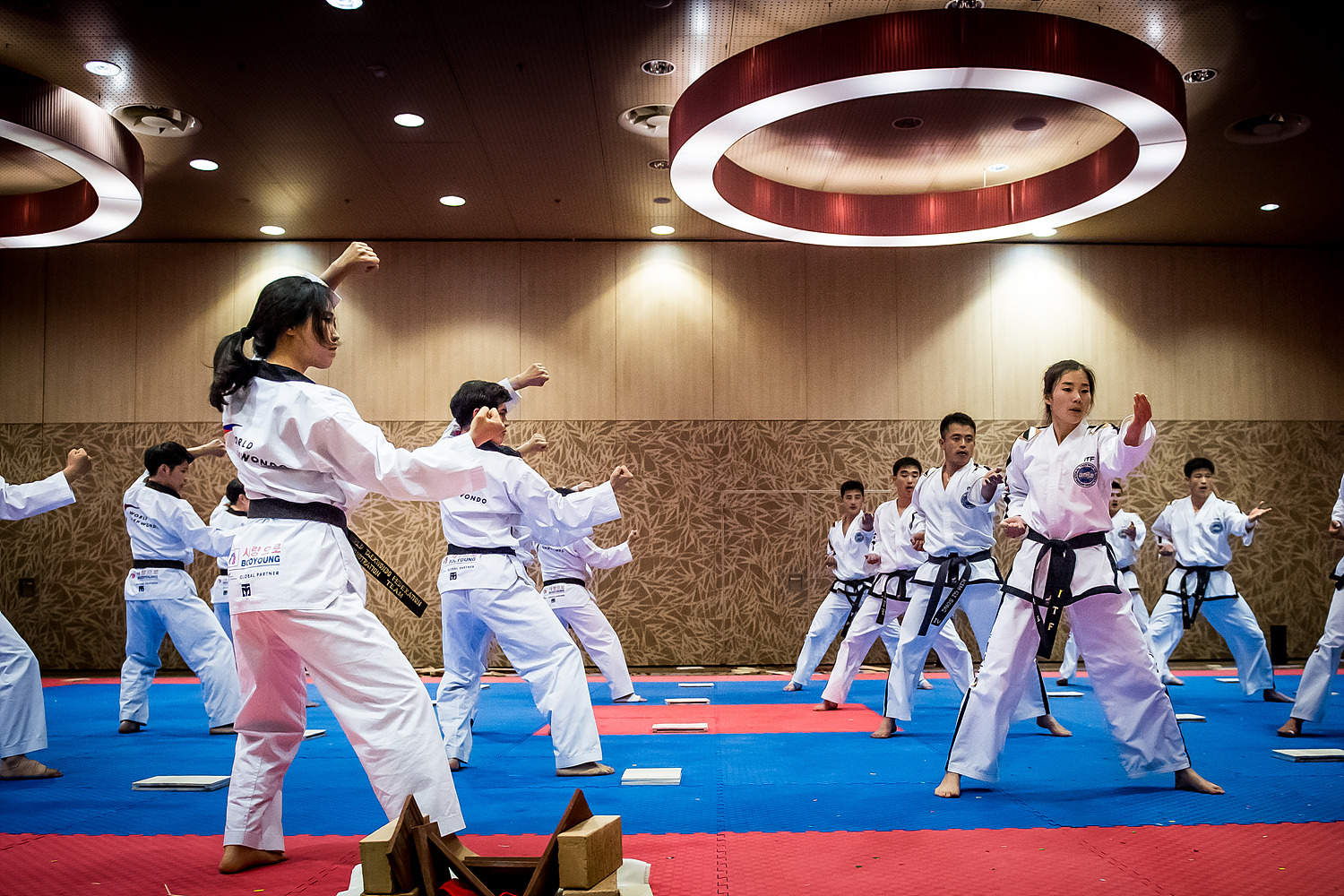 248 비엔나WT-ITF 합동 시범 공연 WT-and-ITF-demonstration-137.jpg