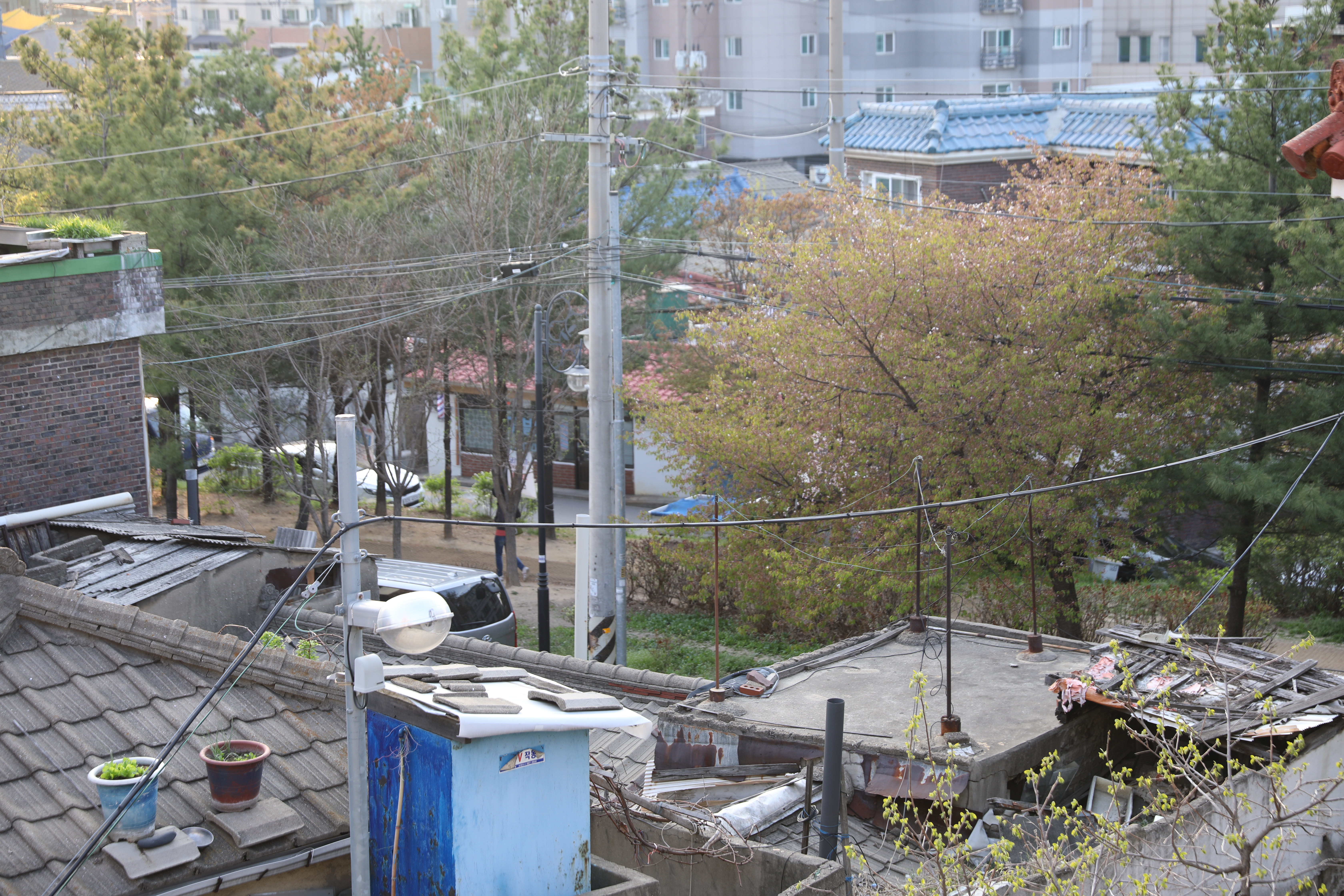 철길퓨전포차 앞 주인공원 주변 모습 (10).JPG